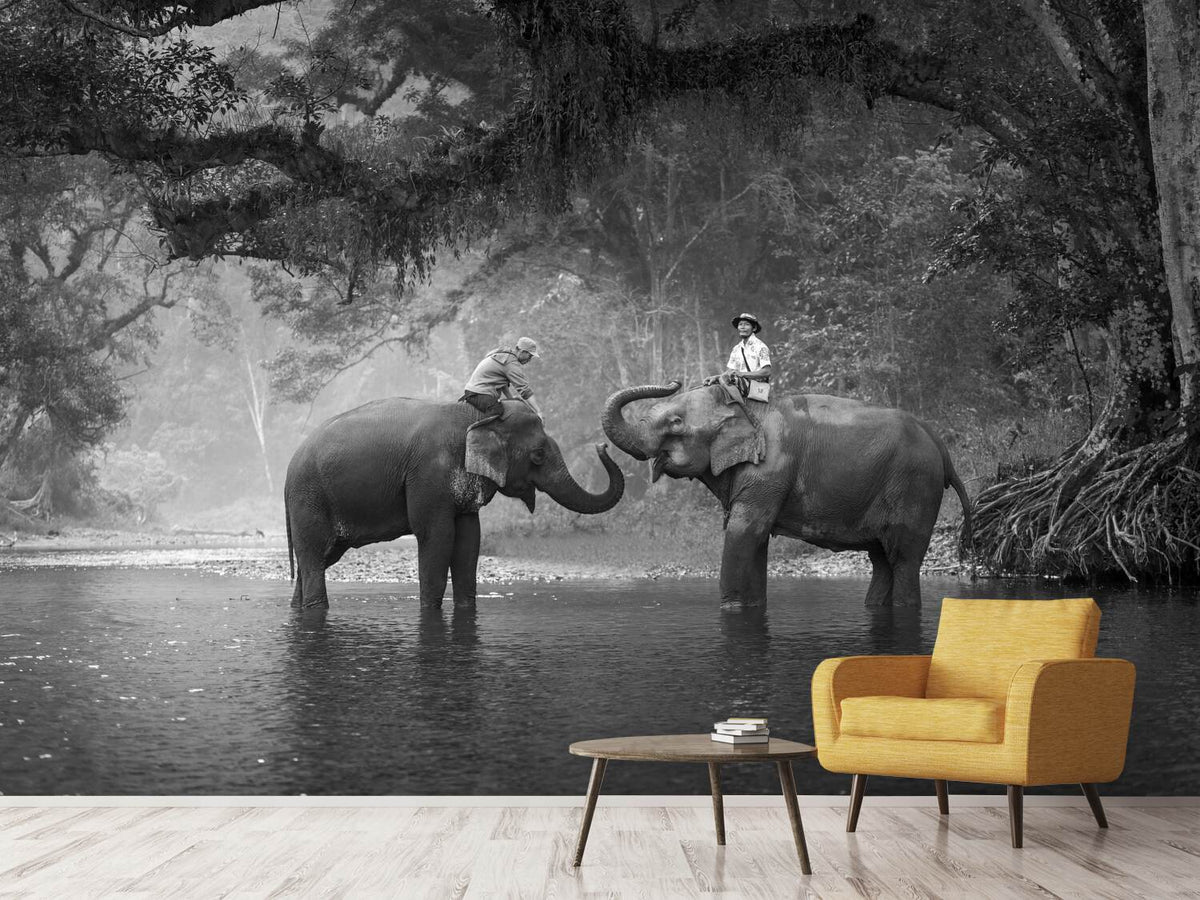 photo-wallpaper-two-elephants