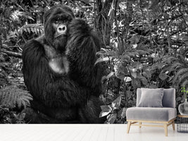 photo-wallpaper-kwitonda-silverback