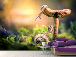 photo-wallpaper-the-awakening-of-snails