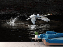 photo-wallpaper-flying-swan