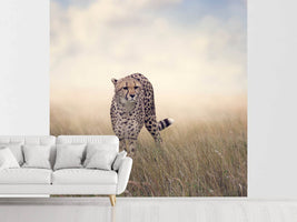 photo-wallpaper-the-cheetah