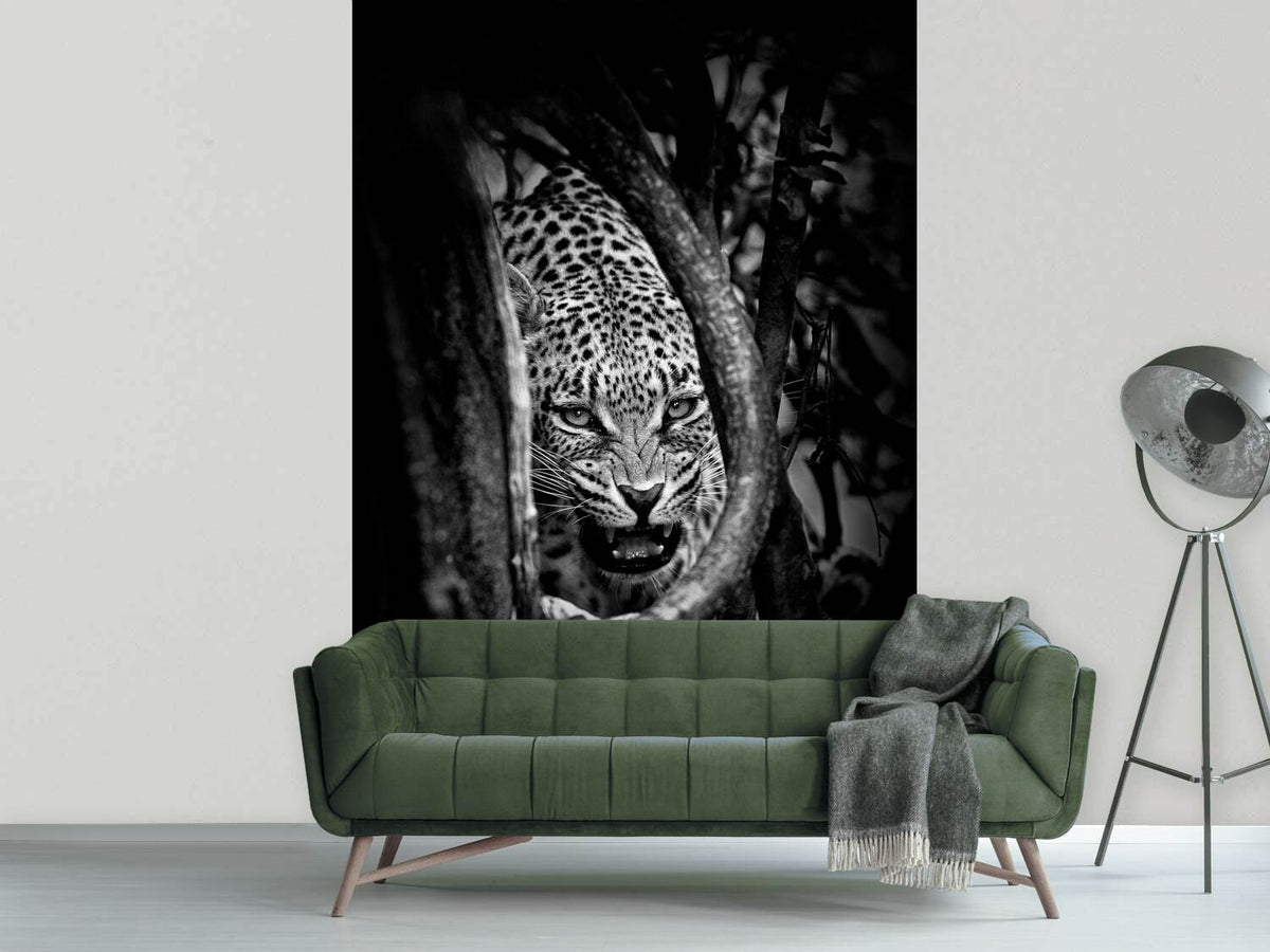 photo-wallpaper-leopards-lair