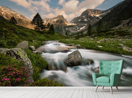 photo-wallpaper-maritime-alps-park-x