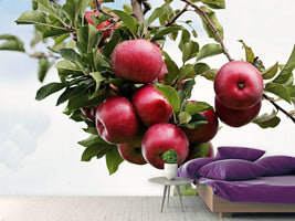 photo-wallpaper-close-up-apple-tree