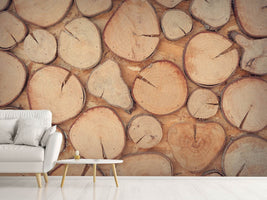 photo-wallpaper-wall-trees