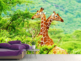 photo-wallpaper-giraffes-love