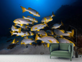 photo-wallpaper-fish-in-the-dance-of-the-waves