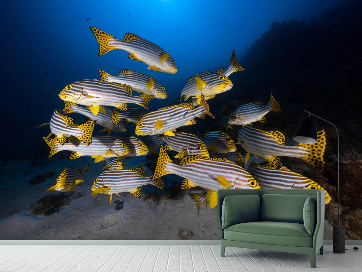 photo-wallpaper-fish-in-the-dance-of-the-waves