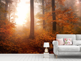 photo-wallpaper-autumn-xpi