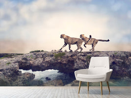 photo-wallpaper-two-cheetahs