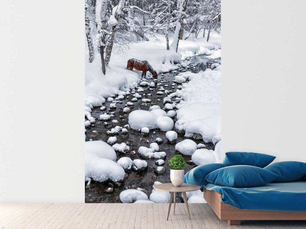 photo-wallpaper-drinking-in-snow