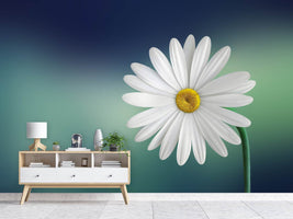 photo-wallpaper-flower