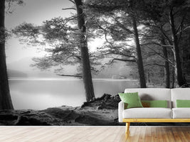 photo-wallpaper-loch-an-eilein