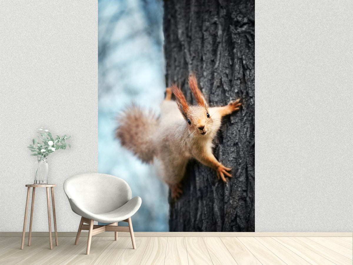 photo-wallpaper-the-squirrel