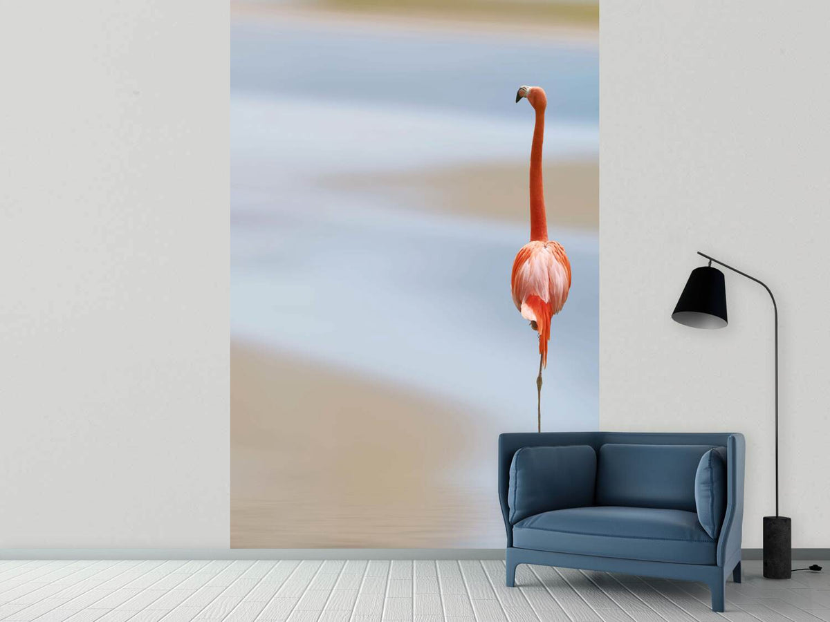 photo-wallpaper-red-flamingo