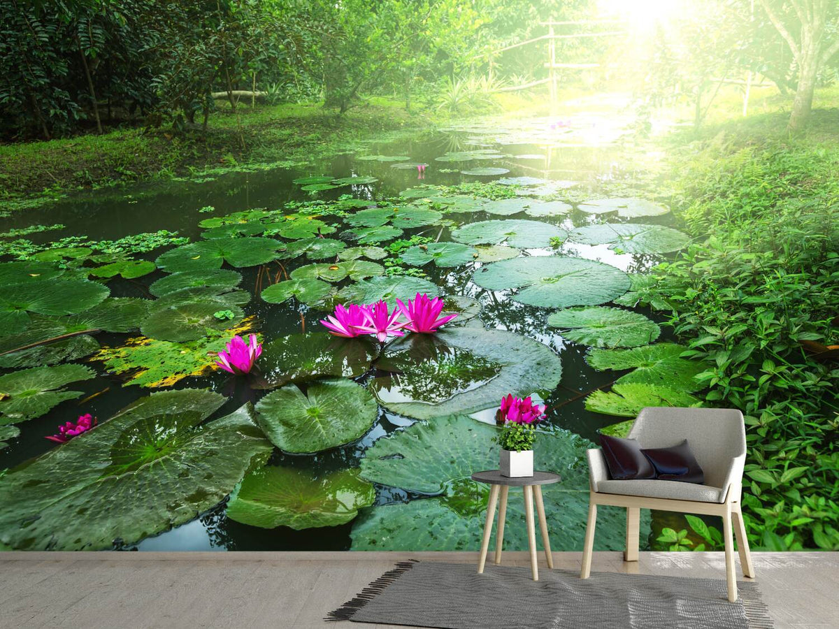 photo-wallpaper-garden-pond