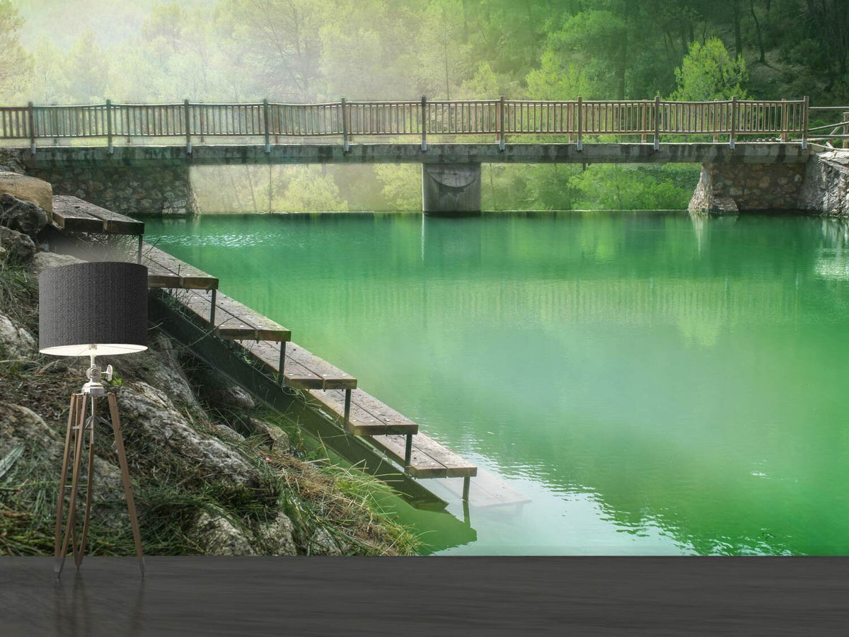 photo-wallpaper-the-green-pond