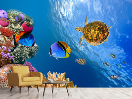 photo-wallpaper-fish-in-the-water