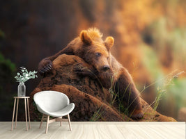 photo-wallpaper-bear-portrait-x