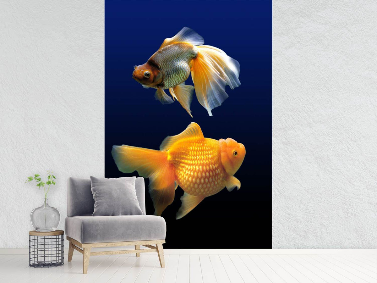 photo-wallpaper-2-funny-fish