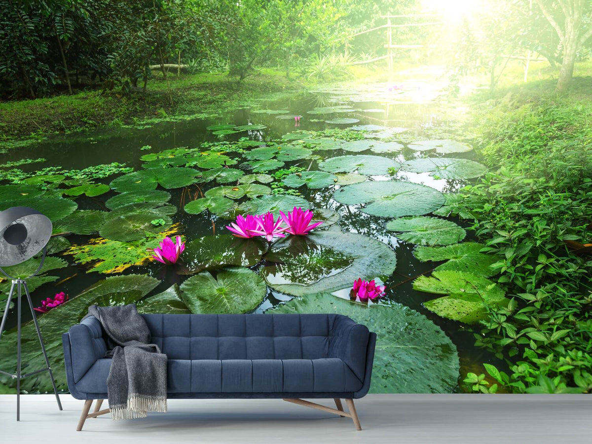 photo-wallpaper-garden-pond