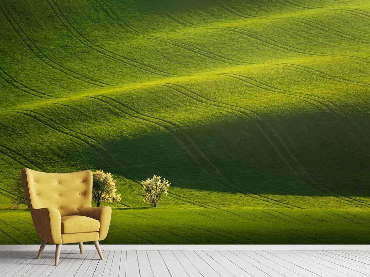 photo-wallpaper-moravian-waves-x