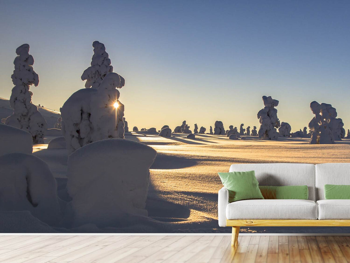 photo-wallpaper-in-lapland