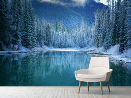 photo-wallpaper-wonder-winter-land-x