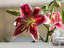 photo-wallpaper-close-up-lily-in-red