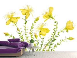 photo-wallpaper-hypericum-x