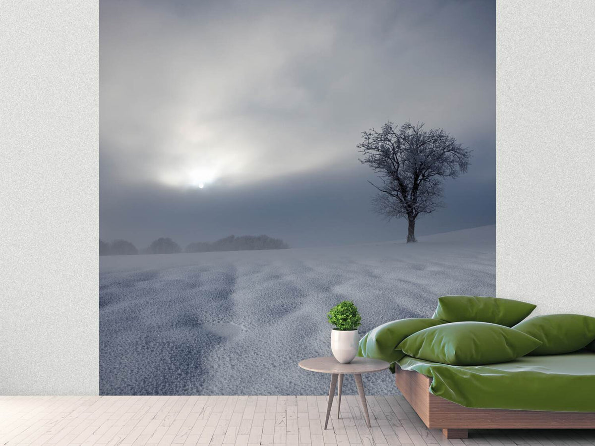 photo-wallpaper-winter-impression