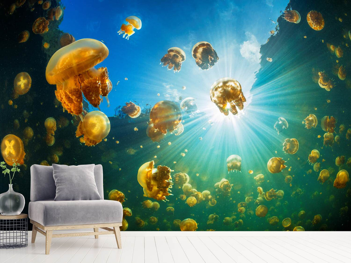 photo-wallpaper-sunlight-and-jellyfish-x