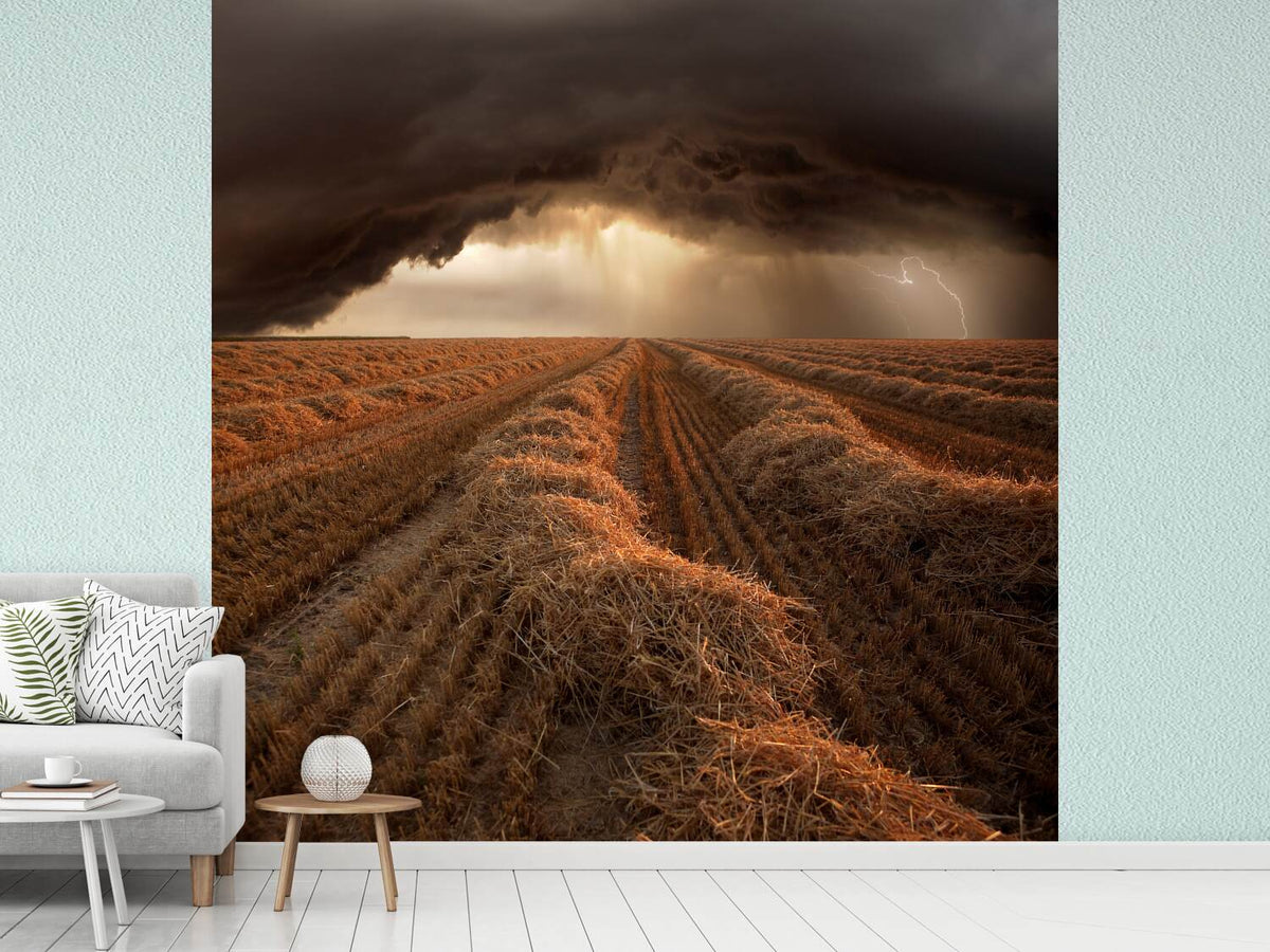 photo-wallpaper-storm-ii