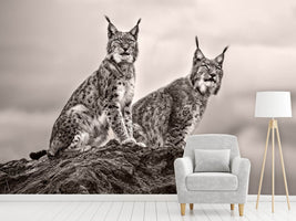 photo-wallpaper-two-lynx-on-rock