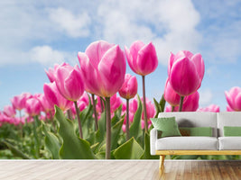 photo-wallpaper-tulip-field-in-pink