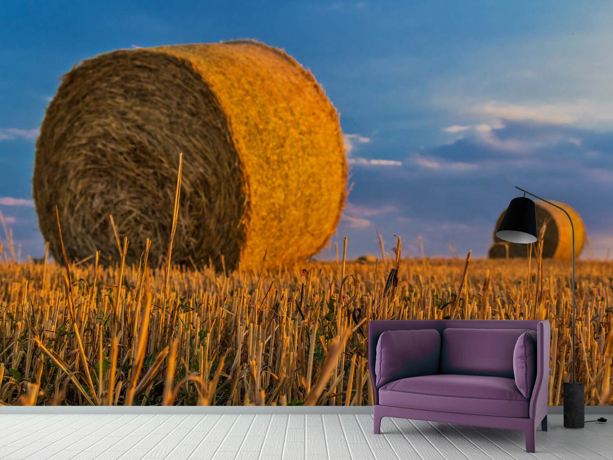 photo-wallpaper-straw-bales