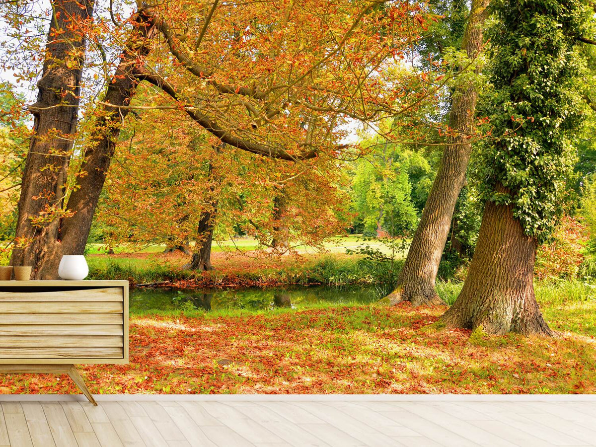 photo-wallpaper-in-the-middle-of-autumn-trees