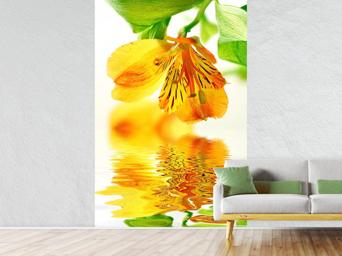 photo-wallpaper-flowing-orchid-flower