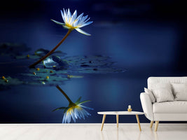 photo-wallpaper-reflection-xdb