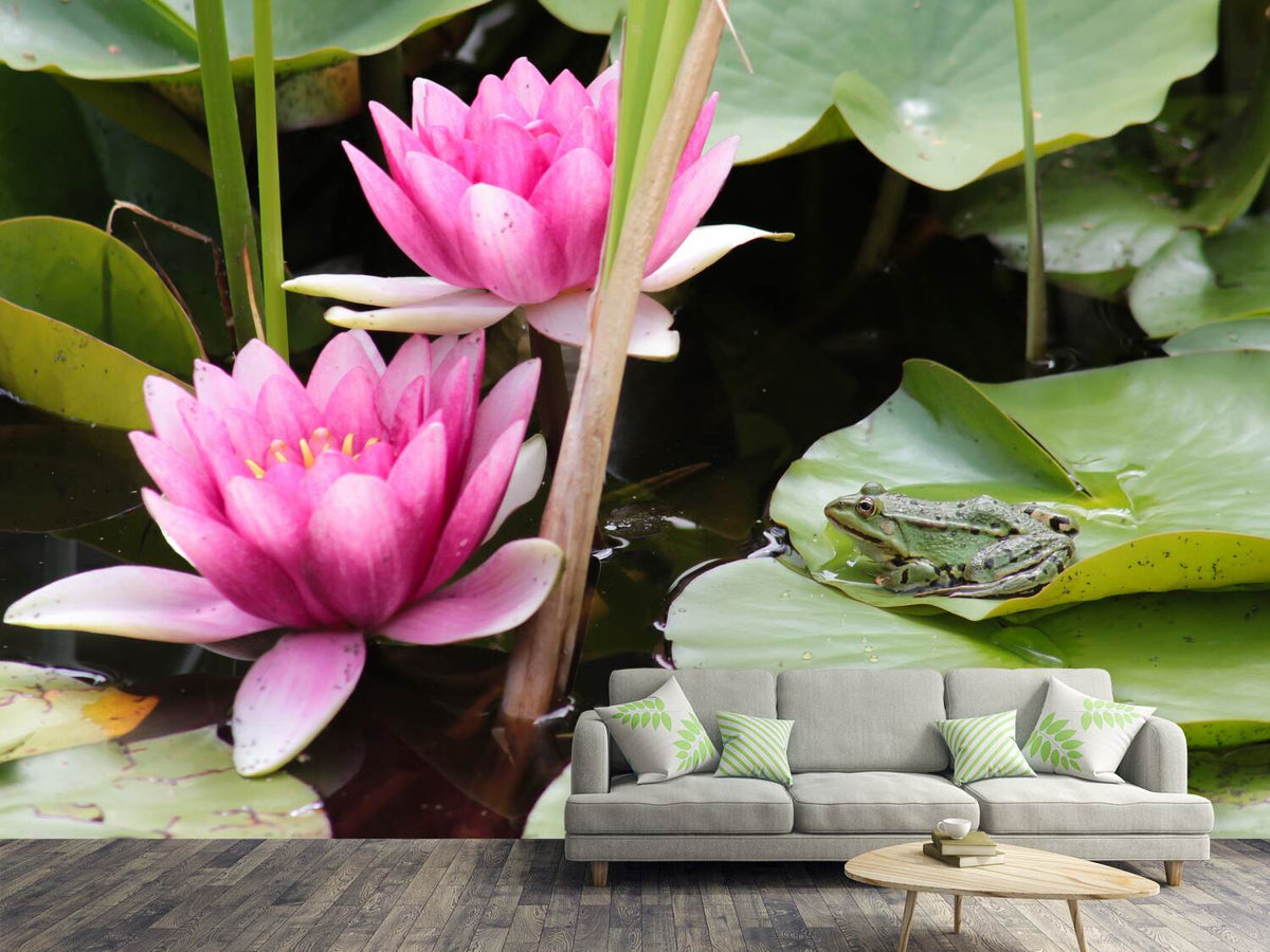 photo-wallpaper-the-frog-in-the-protection-of-water-lilies