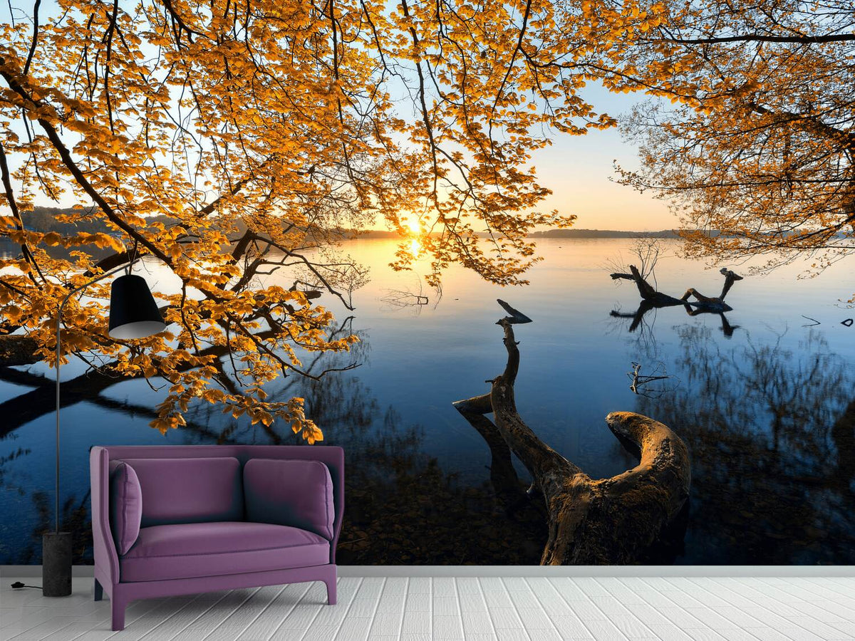 photo-wallpaper-autumn-morning-xoq