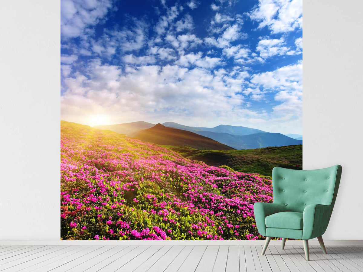 photo-wallpaper-flowery-mountain-landscape