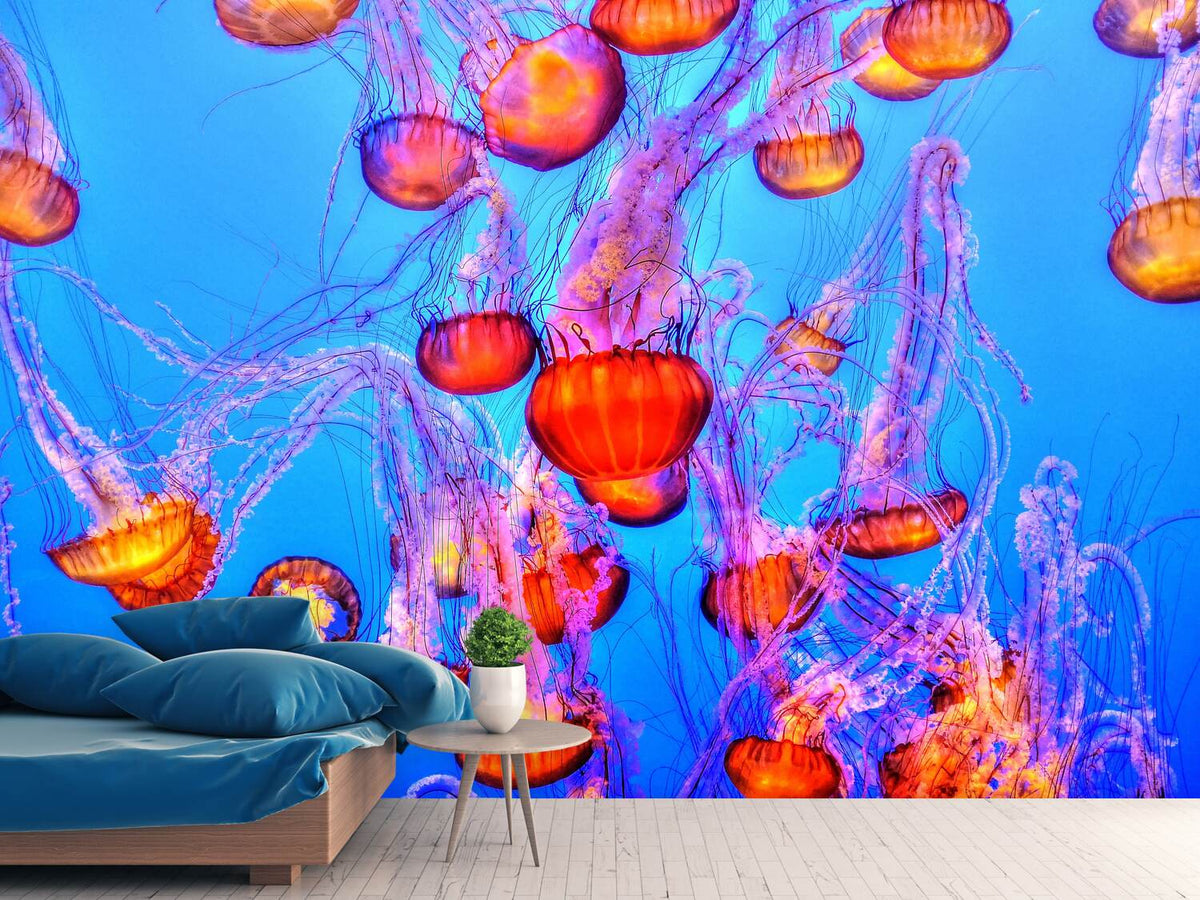 photo-wallpaper-colorful-jellyfish