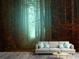 photo-wallpaper-mood-in-the-forest