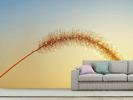 photo-wallpaper-ornamental-grass-in-xxl