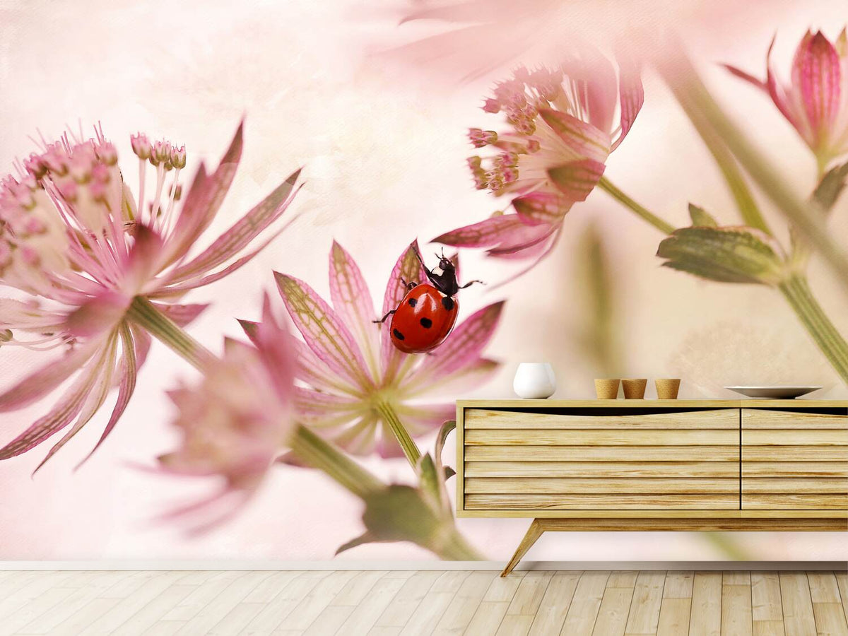 photo-wallpaper-ladybird-and-pink-flowers-x