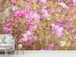 photo-wallpaper-the-jewelry-basket-cosmea