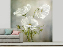 photo-wallpaper-cosmos-charm