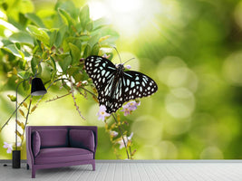 photo-wallpaper-papilio-butterfly-xxl