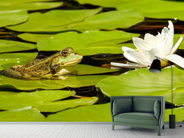 photo-wallpaper-the-frog-and-the-water-lily